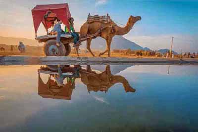 Pushkar B2B Tour Packages