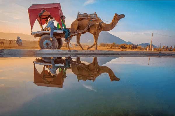 Pushkar B2B Car Rental